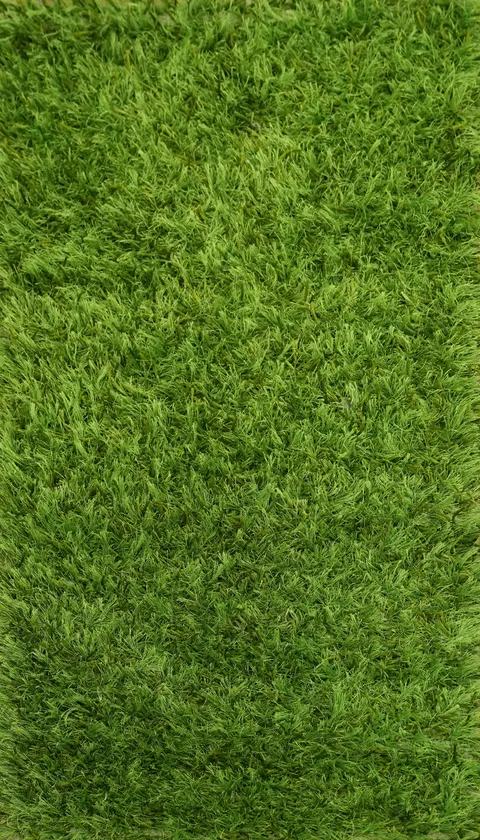 Modern Wool Shiny Shaggy Shag Oriental Rug 2x3