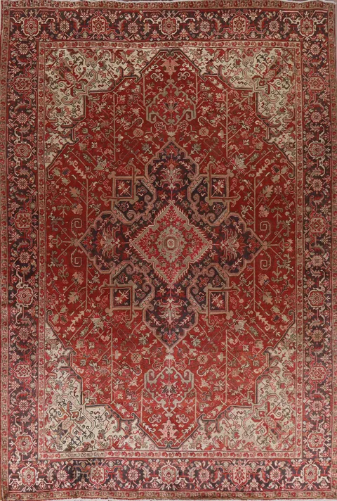 Vegetable Dye Wool Red Heriz Persian Area Rug 9x11