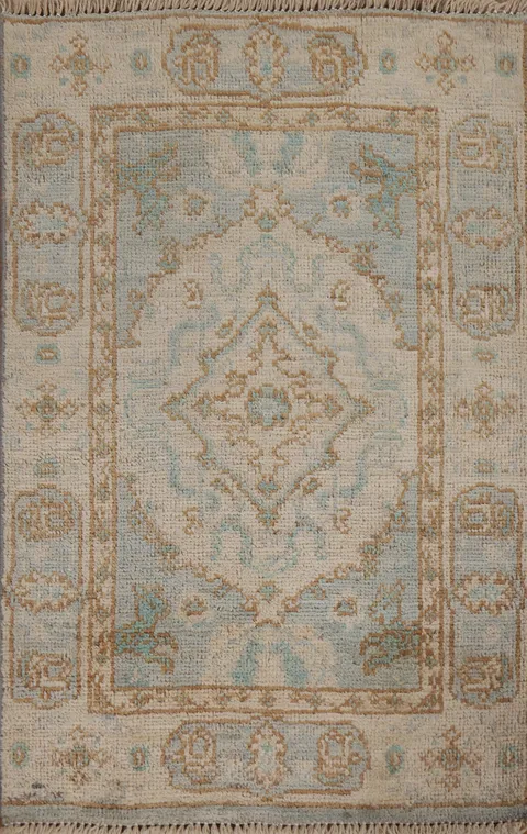 Muted Geometric Oushak Oriental Rug 2x3