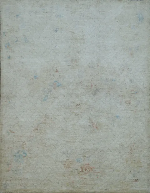 Muted Oushak Oriental Area Rug 4x5