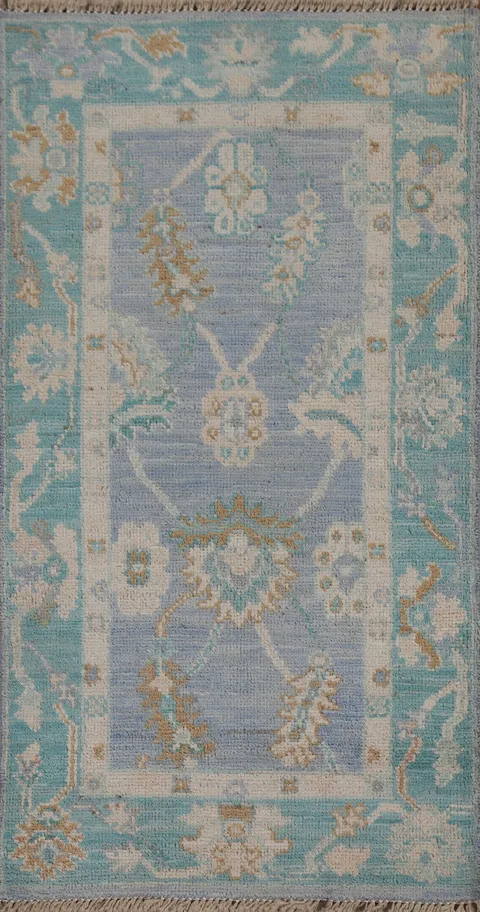 Geometric Oushak Oriental Area Rug 2x4