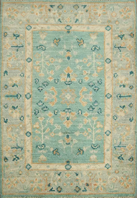 Geometric Oushak Oriental Rug 2x3