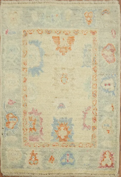 Muted Oushak Oriental Rug 2x3