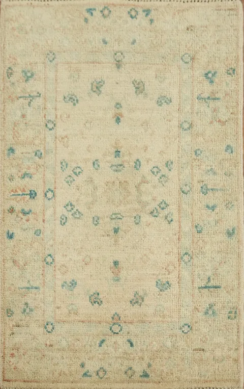 Geometric Oushak Oriental Rug 2x3