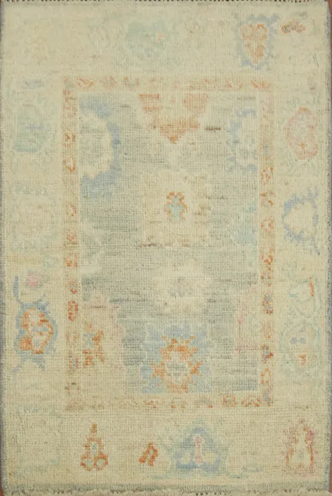 Geometric Oushak Oriental Rug 2x3