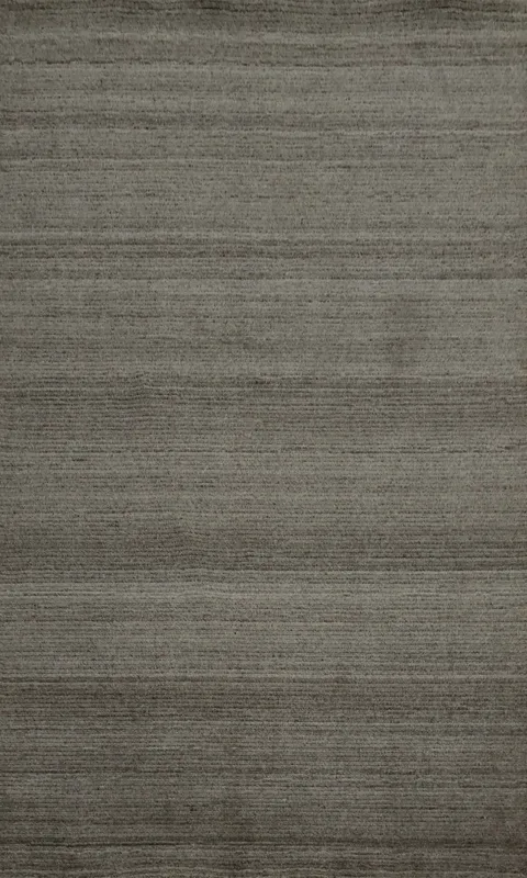 Contemporary Gray Rug with Subtle Linear Design 4x6