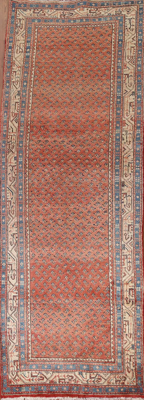 Boteh Botemir Persian Runner Rug 4x10