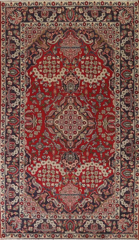 Floral Red Najafabad Persian Area Rug 6x10