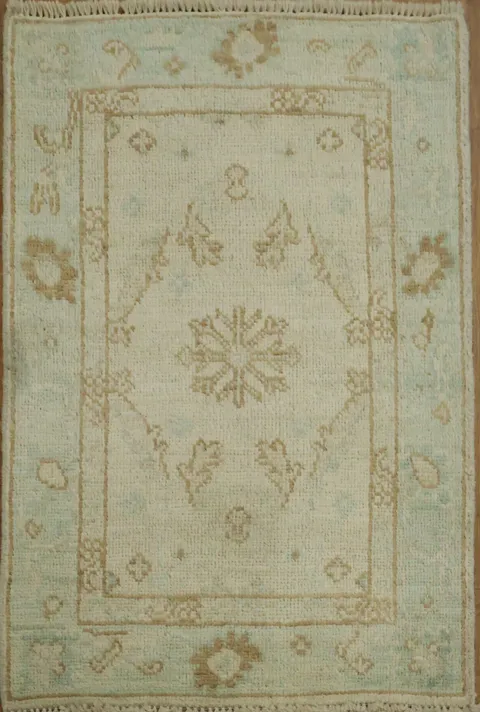 Geometric Oushak Oriental Wool Rug 2x3