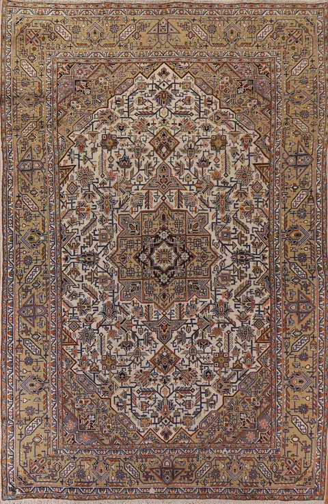 Geometric Najafabad Persian Area Rug 9x12