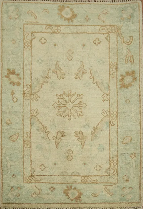 Geometric Oushak Oriental Rug 2x3