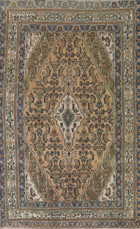 Geometric Hamedan Persian Area Rug 6x9