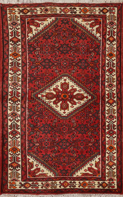 Geometric Red Hamedan Persian Area Rug 3x5