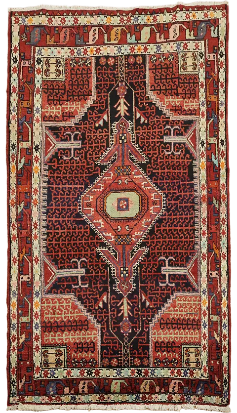 Geometric Hamedan Persian Area Rug 4x7