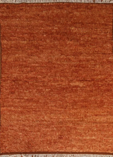 Berber Moroccan Oriental Area Rug 5x6
