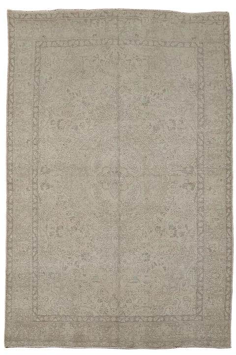 Distressed Muted Persian Area Rug 6x9
