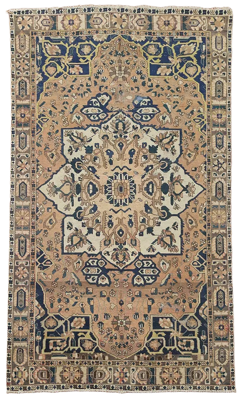 Vintage Bakhtiari Persian Area Rug 7x10