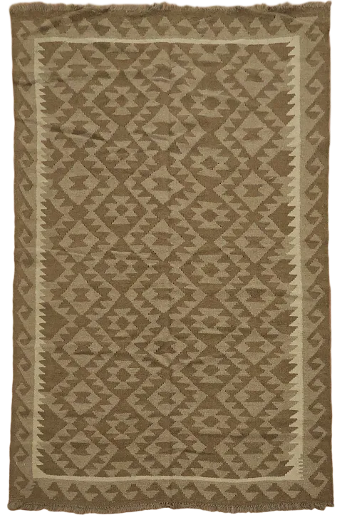 Hand-Woven Kilim Tribal Area Rug 5x7