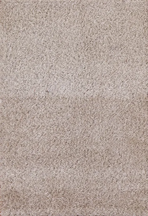 Ivory Shaggy Oriental Area Rug 4x6