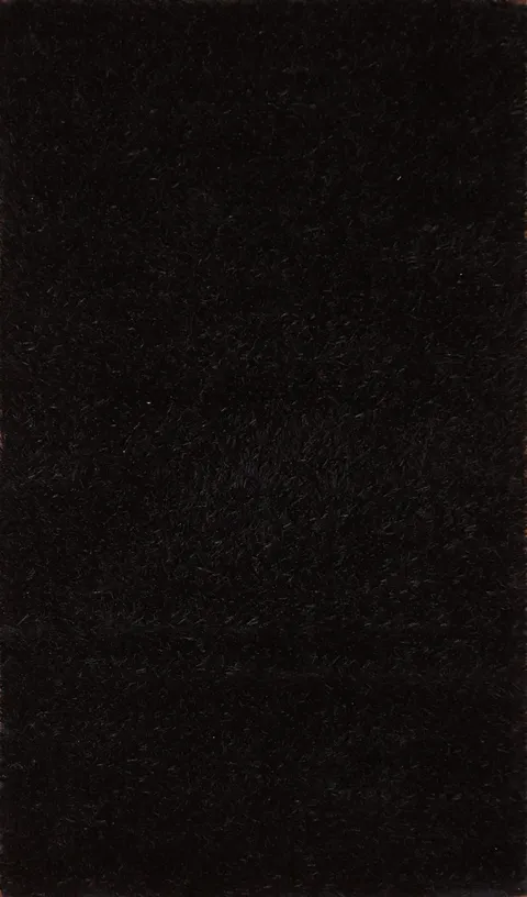 Black Shaggy Oriental Area Rug 3x5