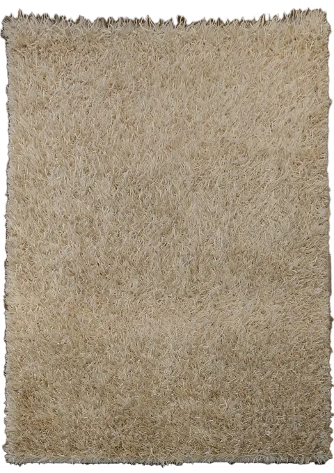 4x6 Tufted Shaggy Shag Oriental Area Rug
