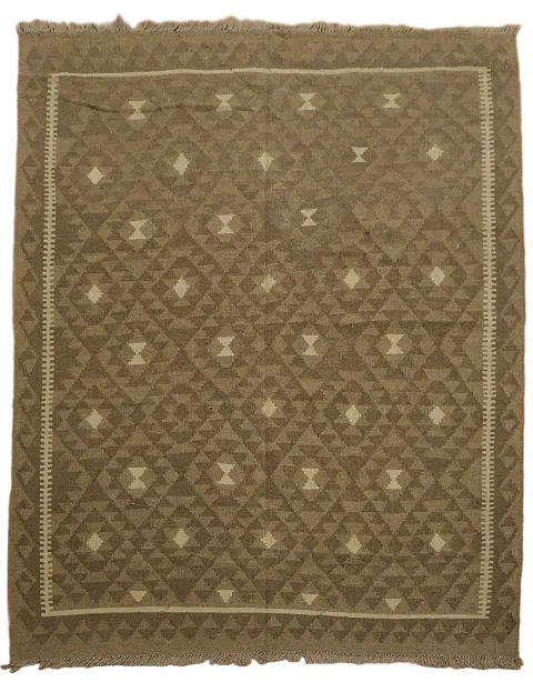 Hand-Woven Wool Kilim Oriental Area Rug 5x7