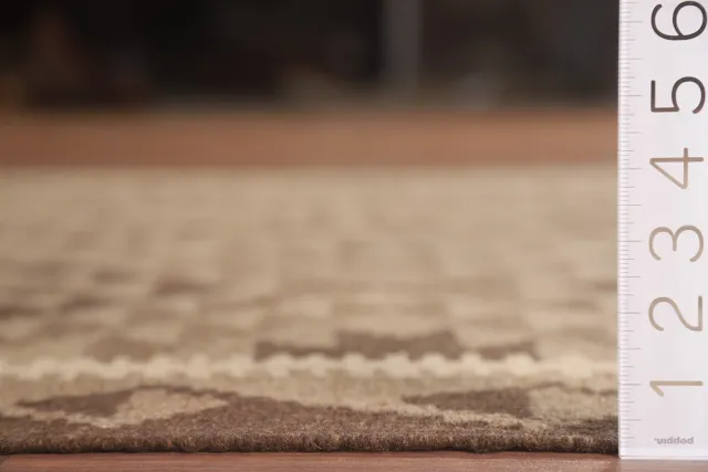 https://image-static-obj.rugsource.com/small/100225_2081202_13ebd9c2.jpeg