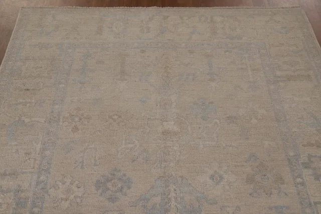 https://image-static-obj.rugsource.com/small/100456_2004398_9d4cb4e2.jpeg