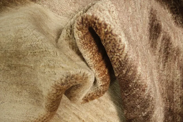 https://image-static-obj.rugsource.com/small/100473_3385581_79a5789c.jpeg