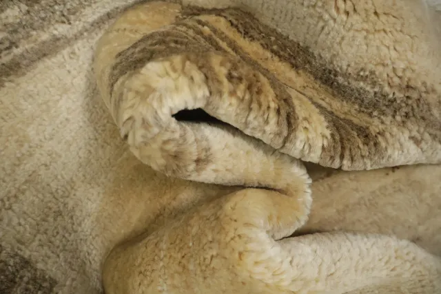 https://image-static-obj.rugsource.com/small/100875_3373848_01453359.jpeg