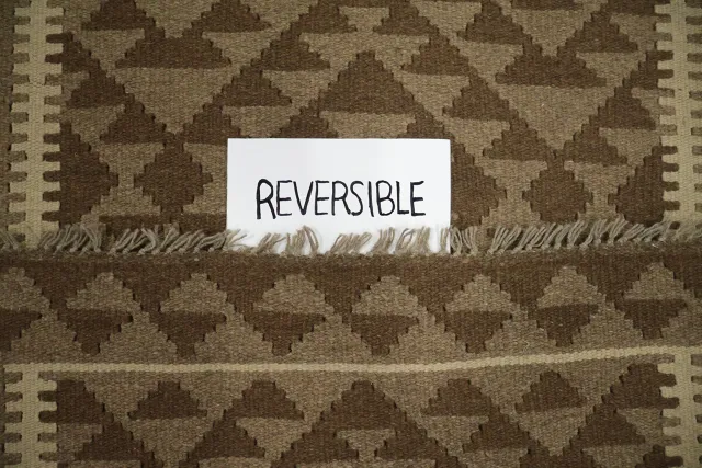 https://image-static-obj.rugsource.com/small/101096_3407305_aab2274c.jpeg
