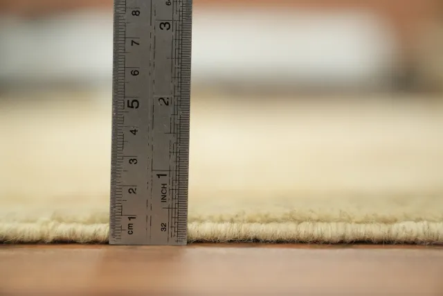 https://image-static-obj.rugsource.com/small/10149_3366879_0fd913ff.jpeg