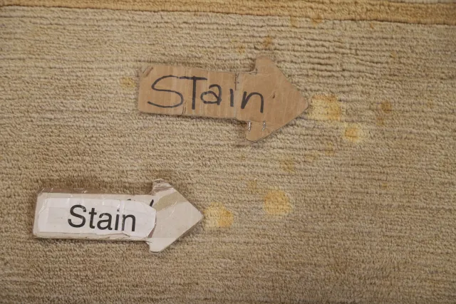 https://image-static-obj.rugsource.com/small/104582_2072999_610fb726.jpeg