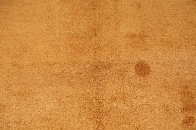https://image-static-obj.rugsource.com/small/10597_209693_8162cf79.jpeg