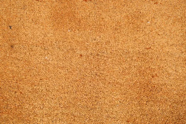 https://image-static-obj.rugsource.com/small/10597_209696_7b85077f.jpeg