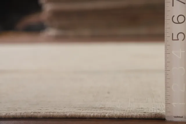 https://image-static-obj.rugsource.com/small/106994_2122573_1a161051.jpeg