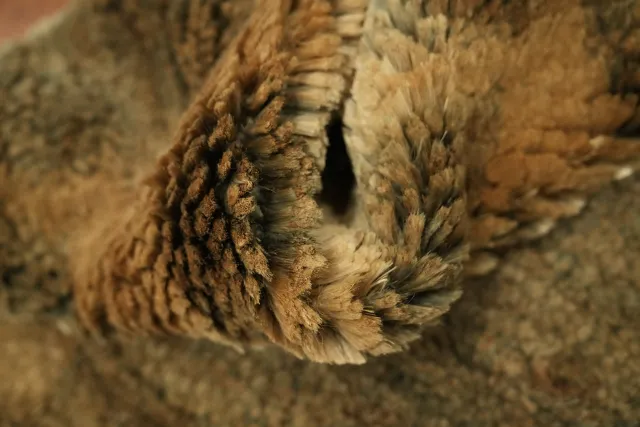 https://image-static-obj.rugsource.com/small/107249_3388130_bc8e9aa2.jpeg