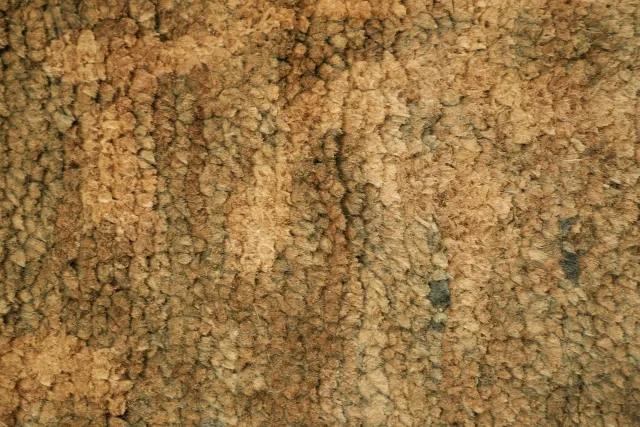 https://image-static-obj.rugsource.com/small/107454_3394654_6b36660b.jpeg