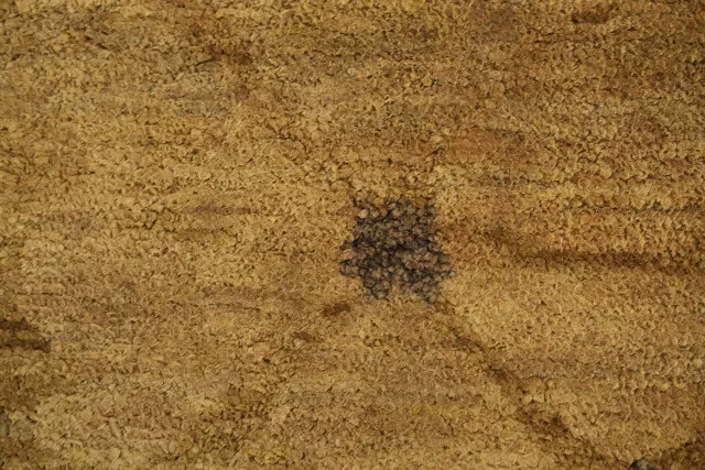 https://image-static-obj.rugsource.com/small/107456_3388541_67926e3a.jpeg