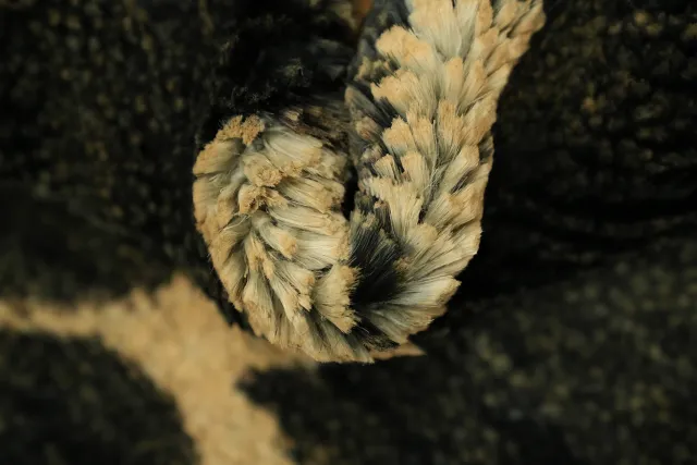 https://image-static-obj.rugsource.com/small/107483_3388154_7b7e3d30.jpeg
