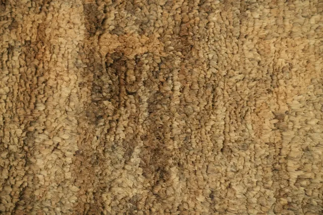 https://image-static-obj.rugsource.com/small/107514_3392097_24561b84.jpeg
