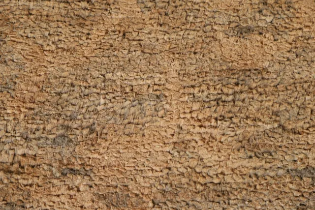 https://image-static-obj.rugsource.com/small/107533_2132659_9cf090de.jpeg