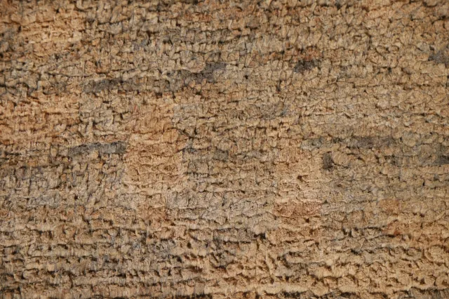 https://image-static-obj.rugsource.com/small/107534_2131982_240535c0.jpeg