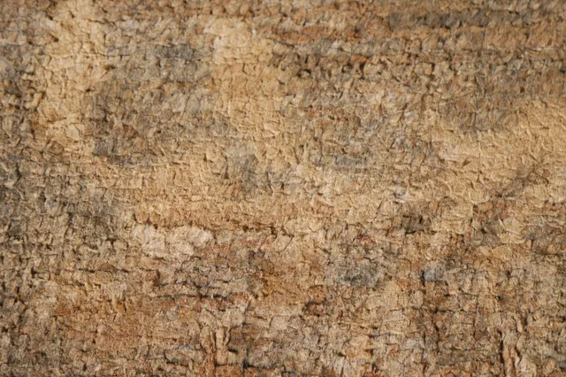 https://image-static-obj.rugsource.com/small/107536_2132078_1fbde32b.jpeg
