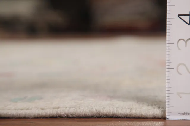 https://image-static-obj.rugsource.com/small/107823_2134971_19e0bc50.jpeg