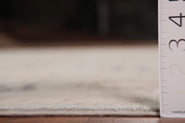 https://image-static-obj.rugsource.com/small/107888_2134546_a4bfbab5.jpeg