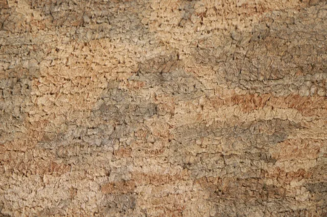 https://image-static-obj.rugsource.com/small/108875_2148205_47c755f2.jpeg