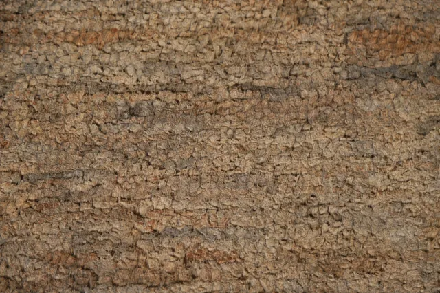 https://image-static-obj.rugsource.com/small/108875_2148206_f1126b9a.jpeg