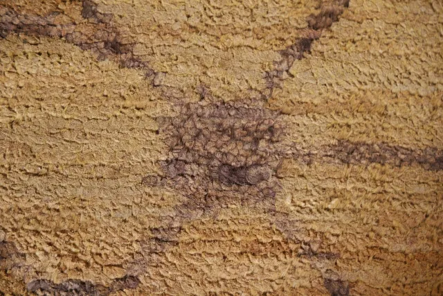 https://image-static-obj.rugsource.com/small/108877_2148995_5a087616.jpeg