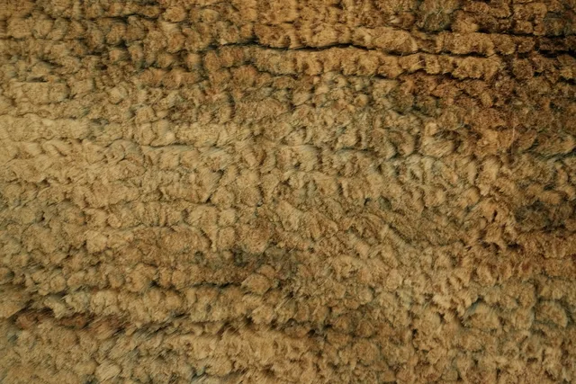 https://image-static-obj.rugsource.com/small/109044_3308085_3bdb4794.jpeg